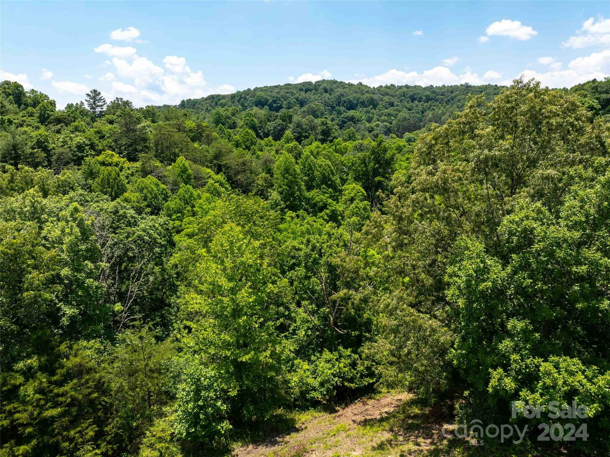 Property Photo:  Lot 1 Firefly Ridge 1  NC 28701 