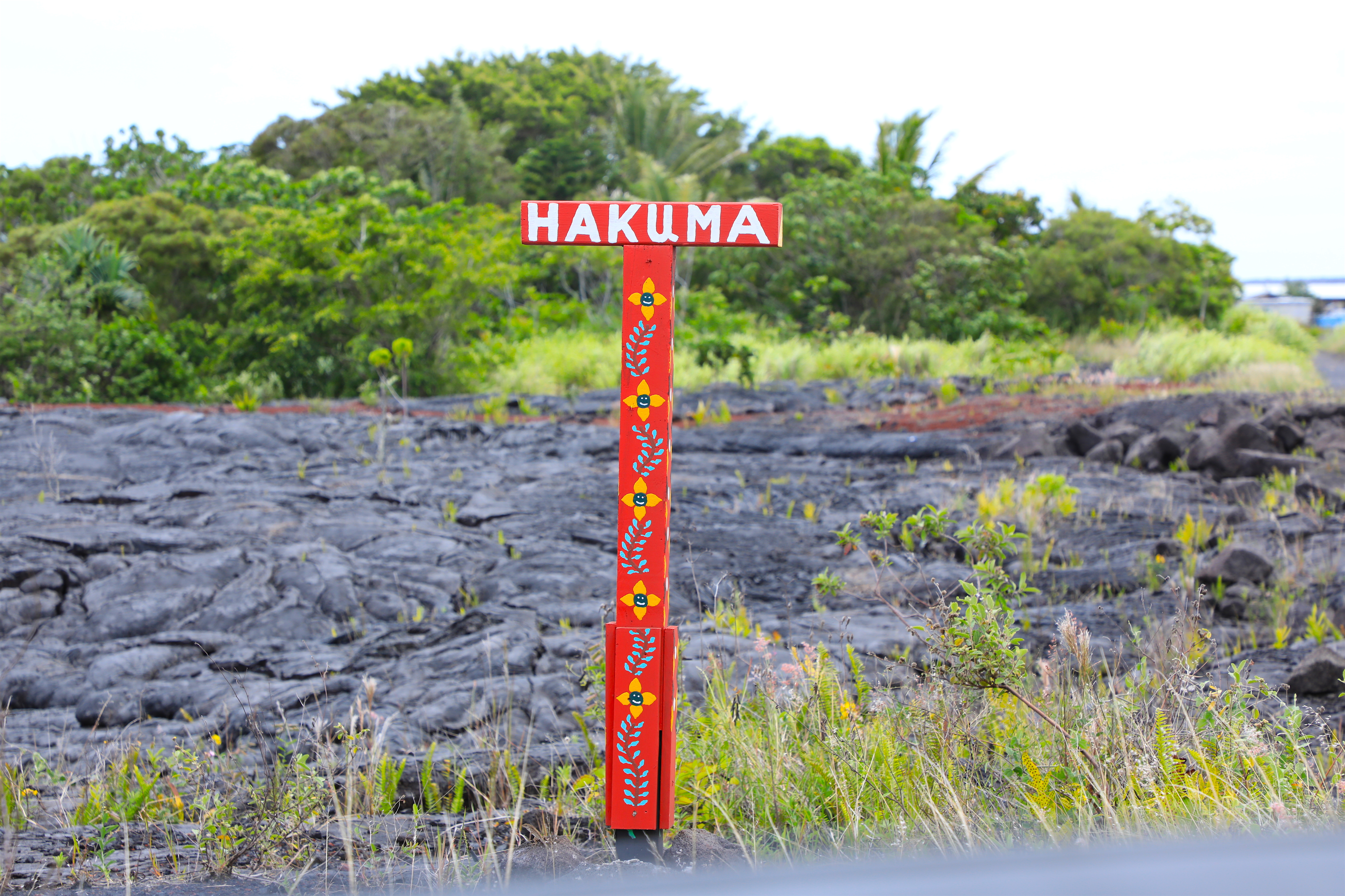 Property Photo:  Kalapana Vacation Lots  HI 96778 