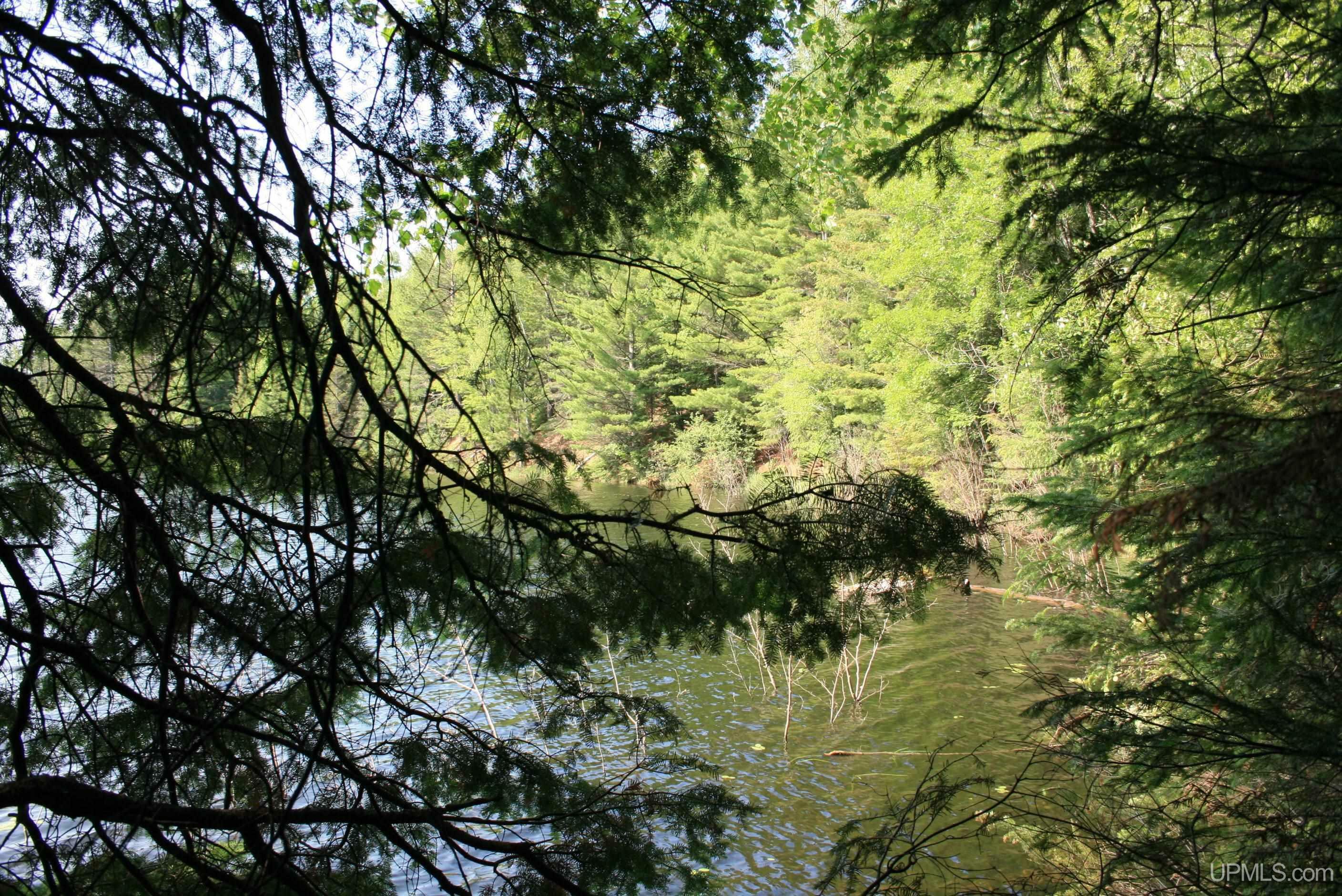 Property Photo:  Tbd Sucker Lake  MI 49969 