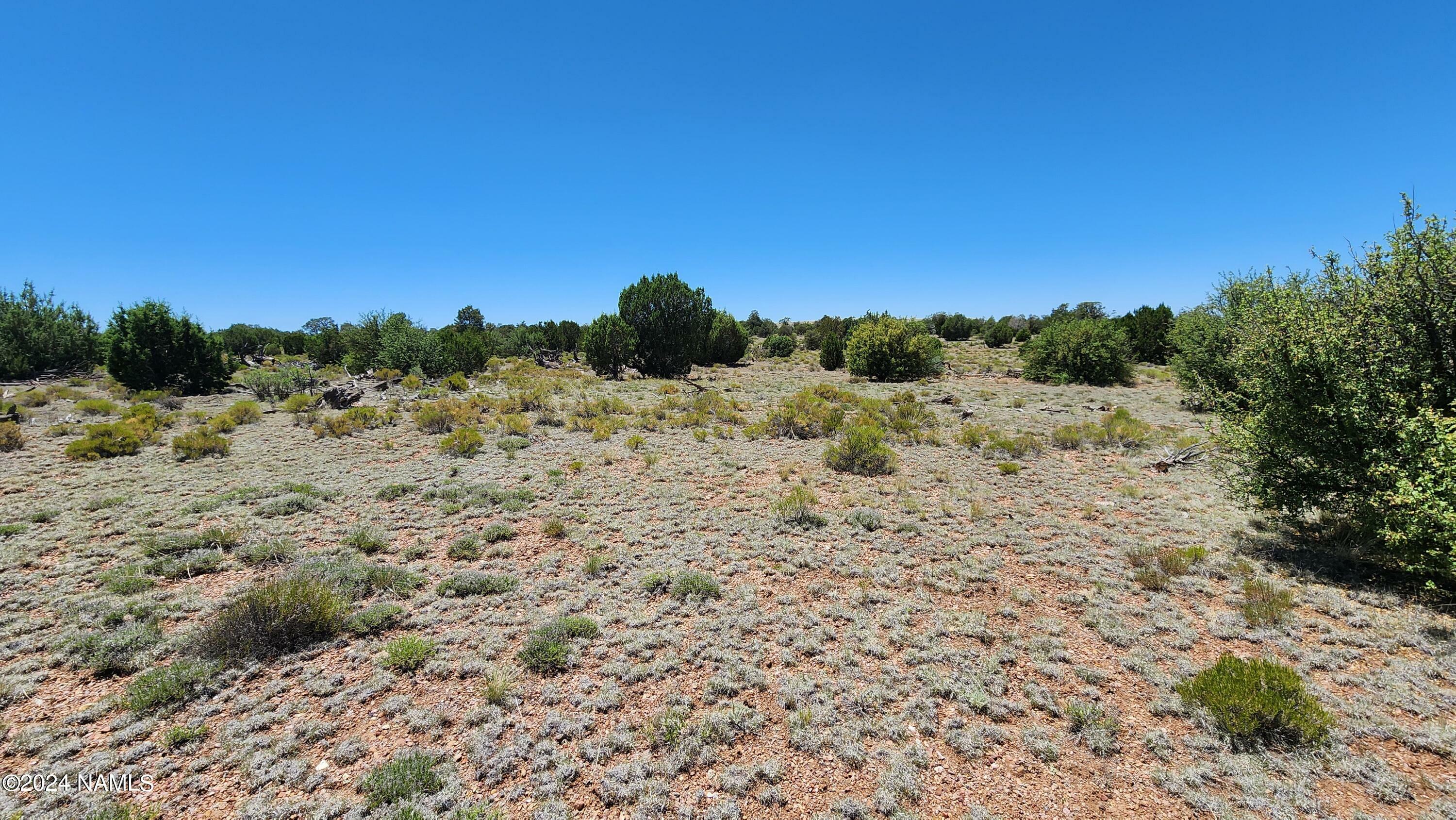 Property Photo:  10624 Espee Road  AZ 86046 