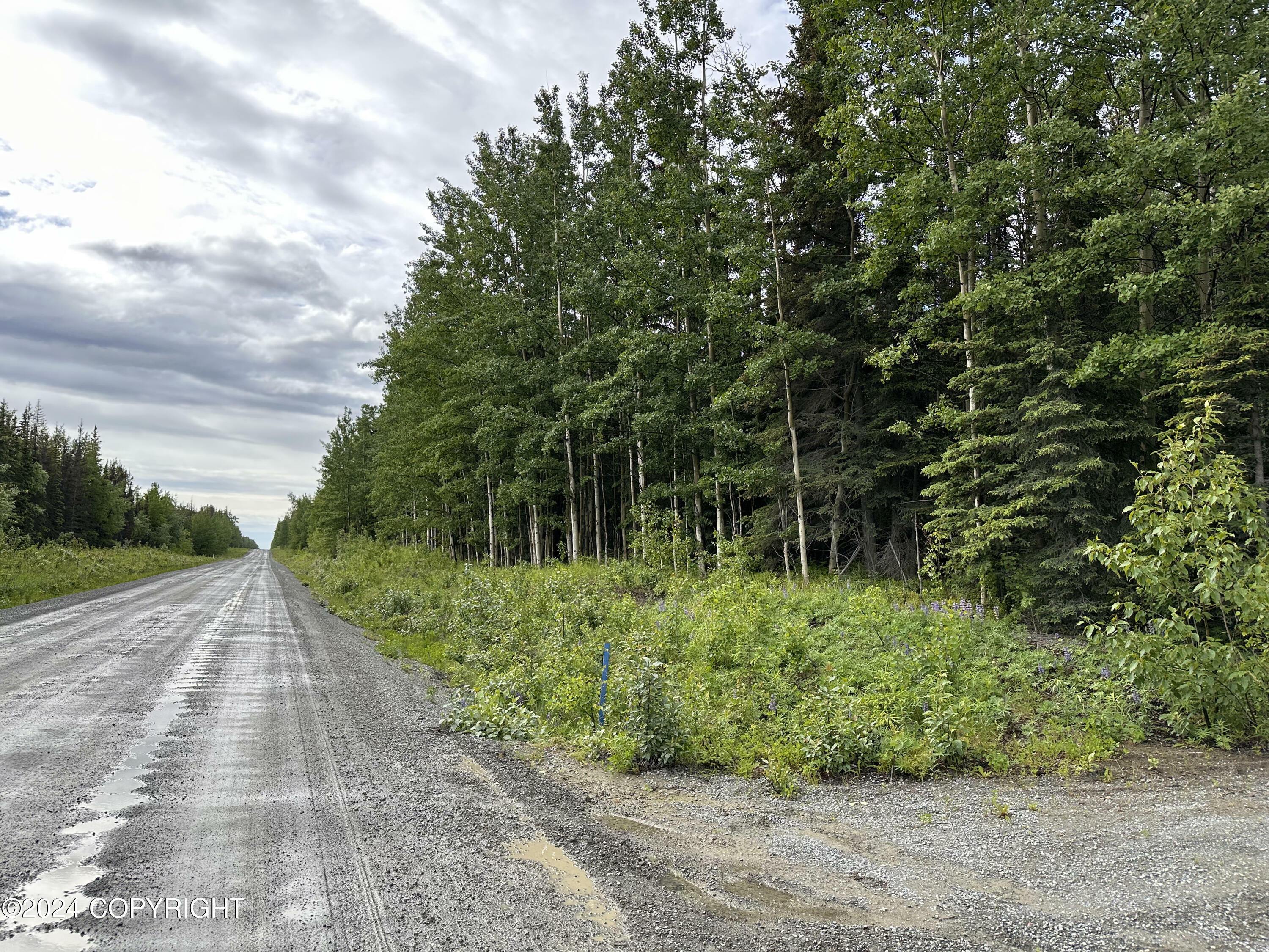 Property Photo:  33700 Browns Lake Road  AK 99669 