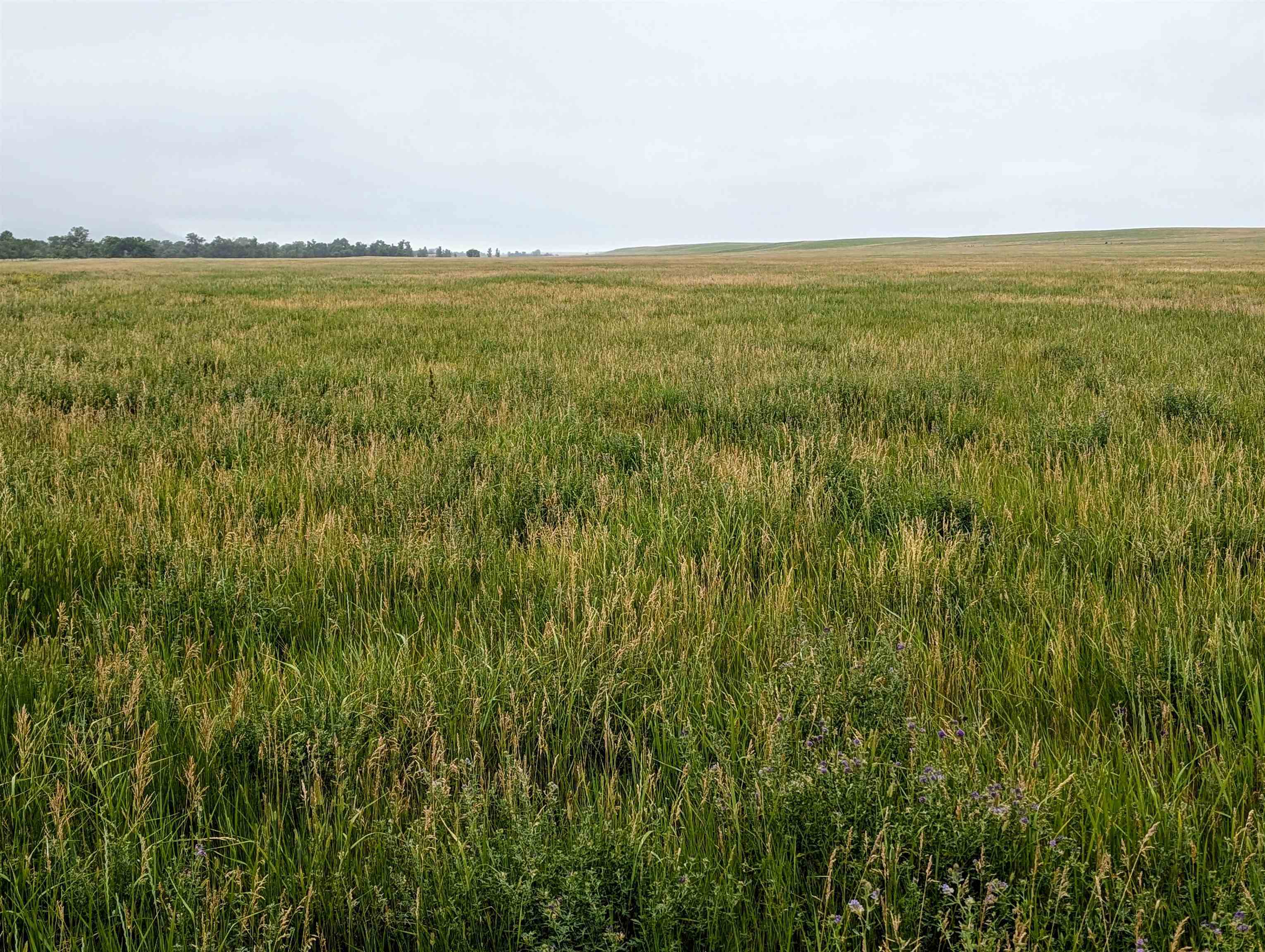 Property Photo:  80 Acres E Highway 34  SD 57785 