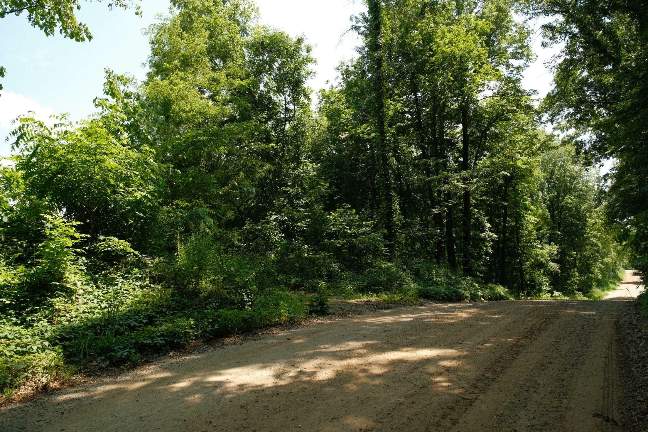 Property Photo:  V/L Mann Road  MI 49060 