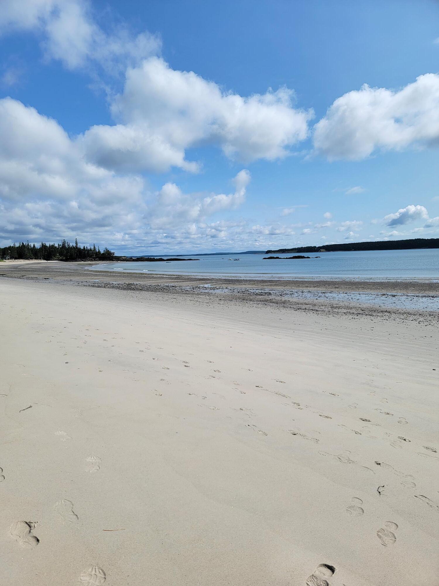 Property Photo:  609 Mason Bay Road  ME 04649 