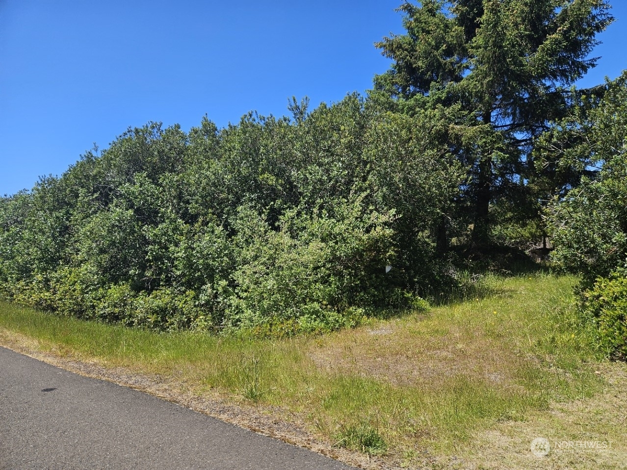 Property Photo:  280 Seashore Street SW  WA 98569 