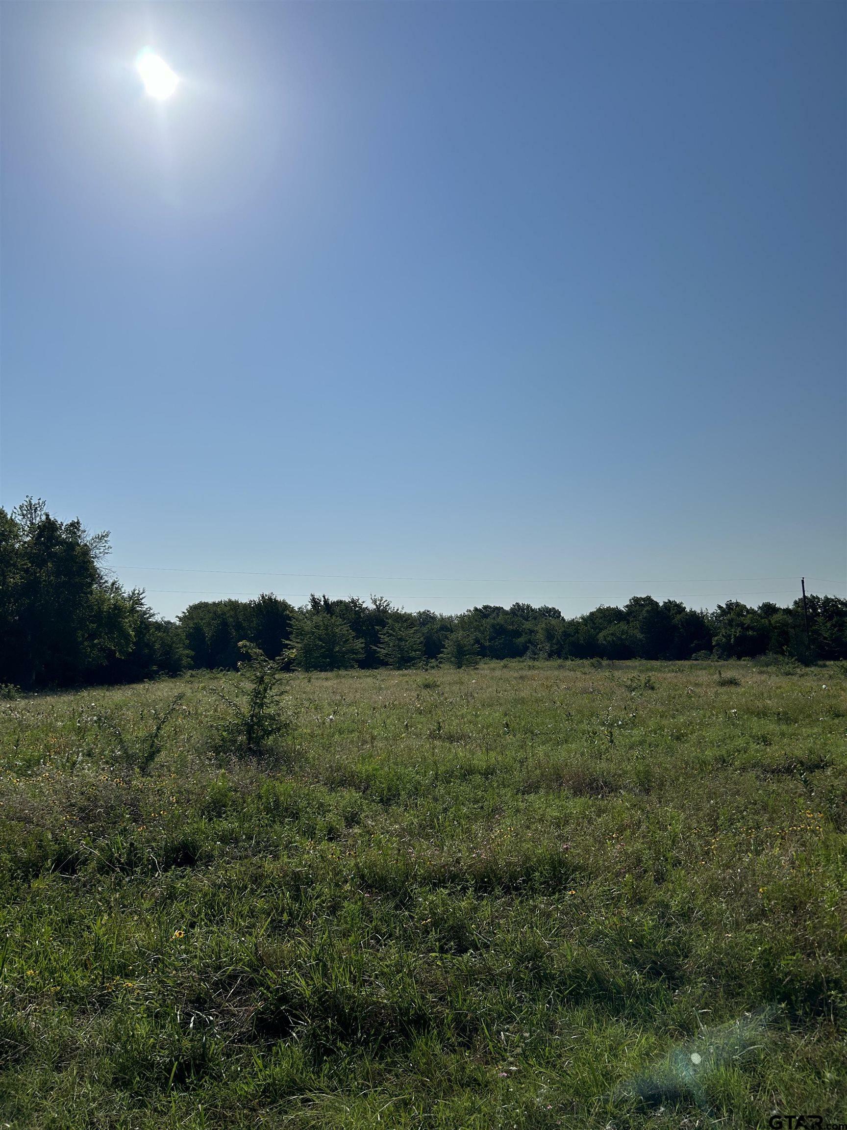 Property Photo:  Tbd Texas Hwy 71  TX 75487 