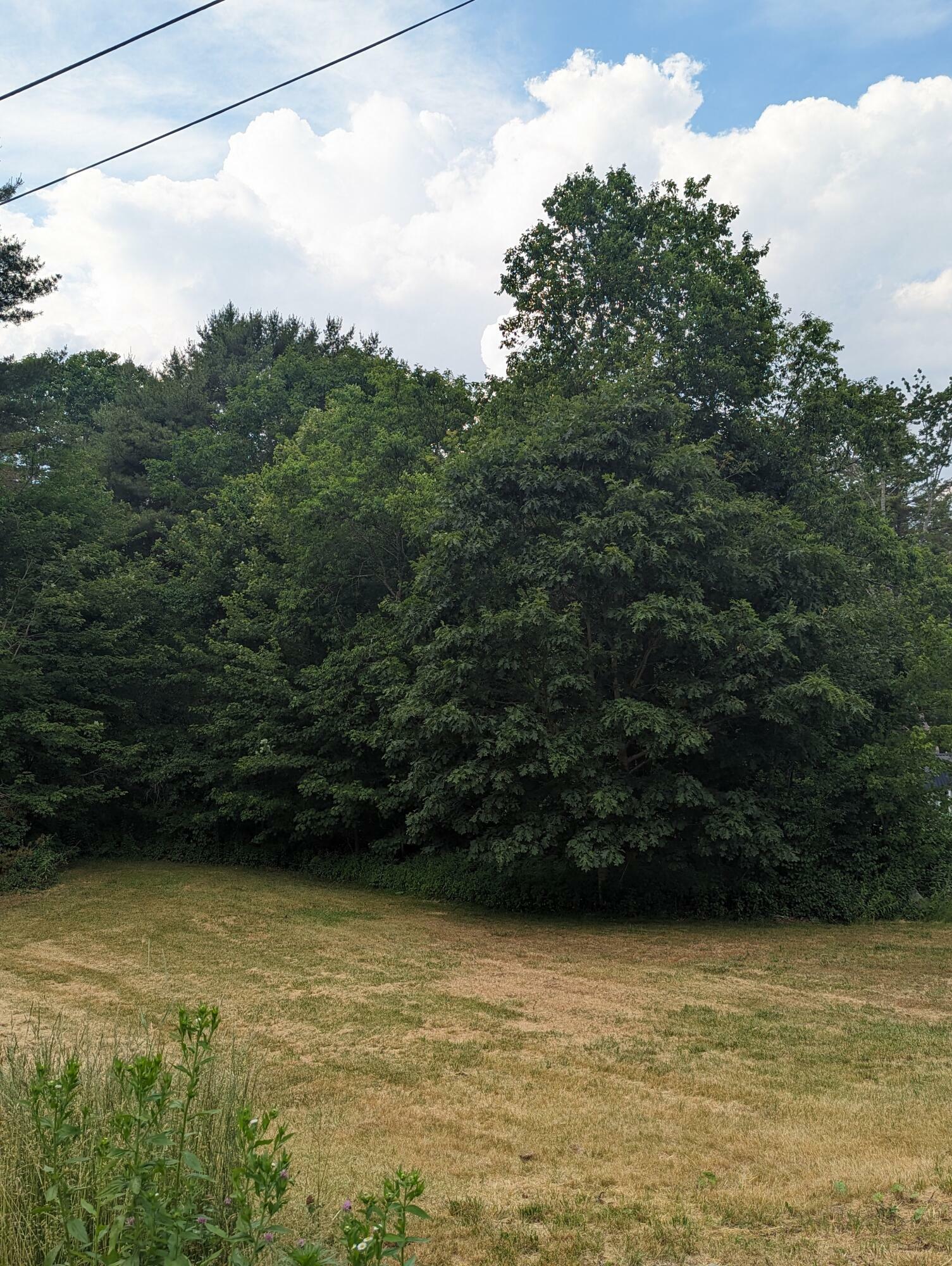 Property Photo:  Lot #8 Elenors Way  ME 04579 