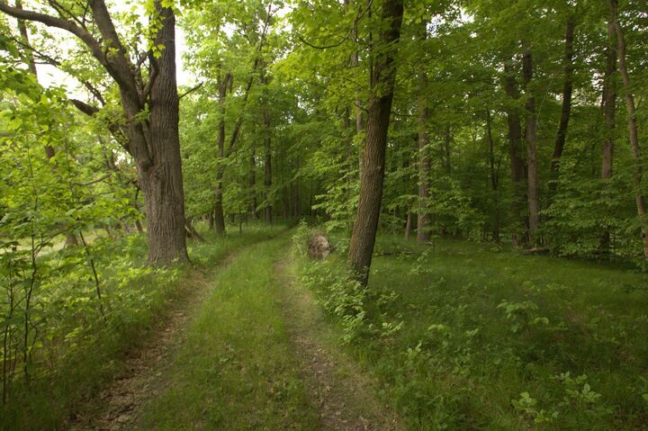 Property Photo: 4xxxx E Lake Lizzie Rd MN 56572