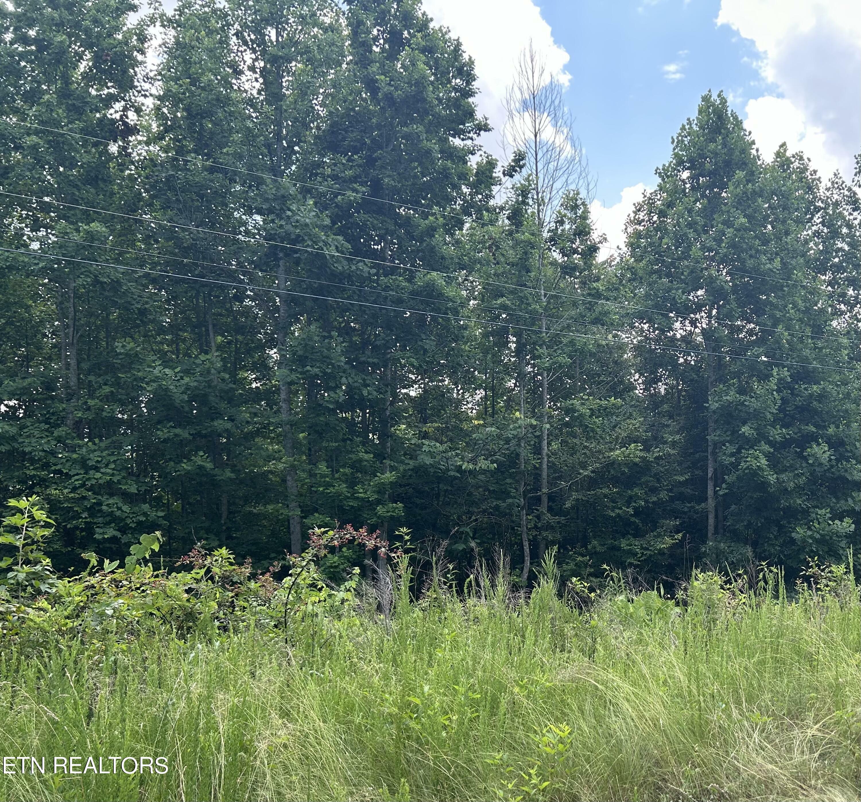 Property Photo:  Whistle Valley Lot 564 Rd  TN 37825 