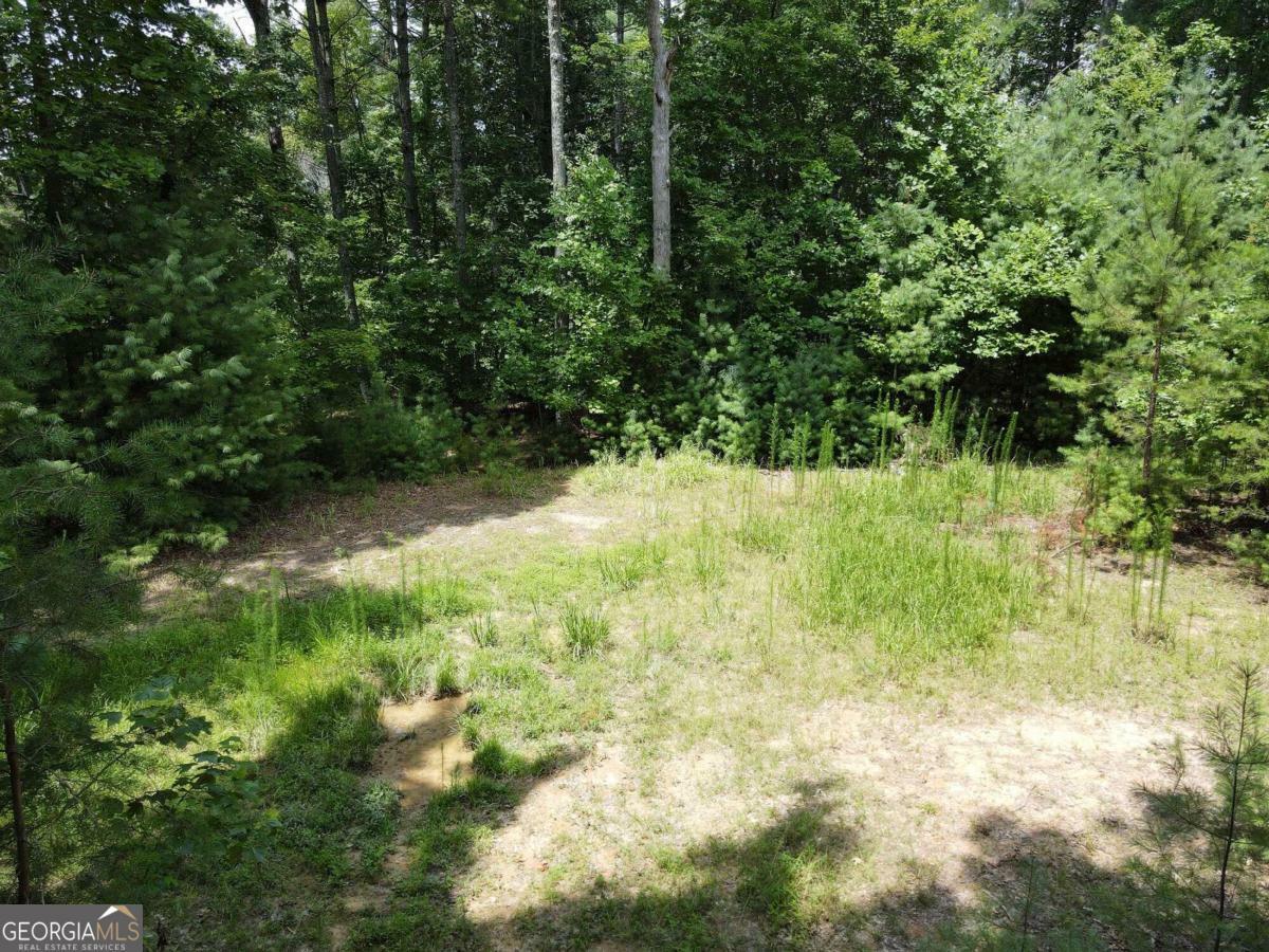 Property Photo:  Lot 4 Scouts Overlook Lane  GA 30560 