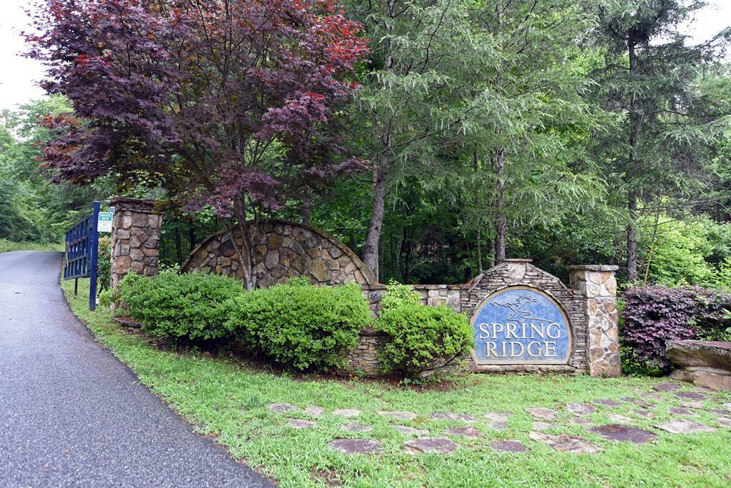 Lot 1 Spring Ridge Drive  Morganton GA 30560 photo