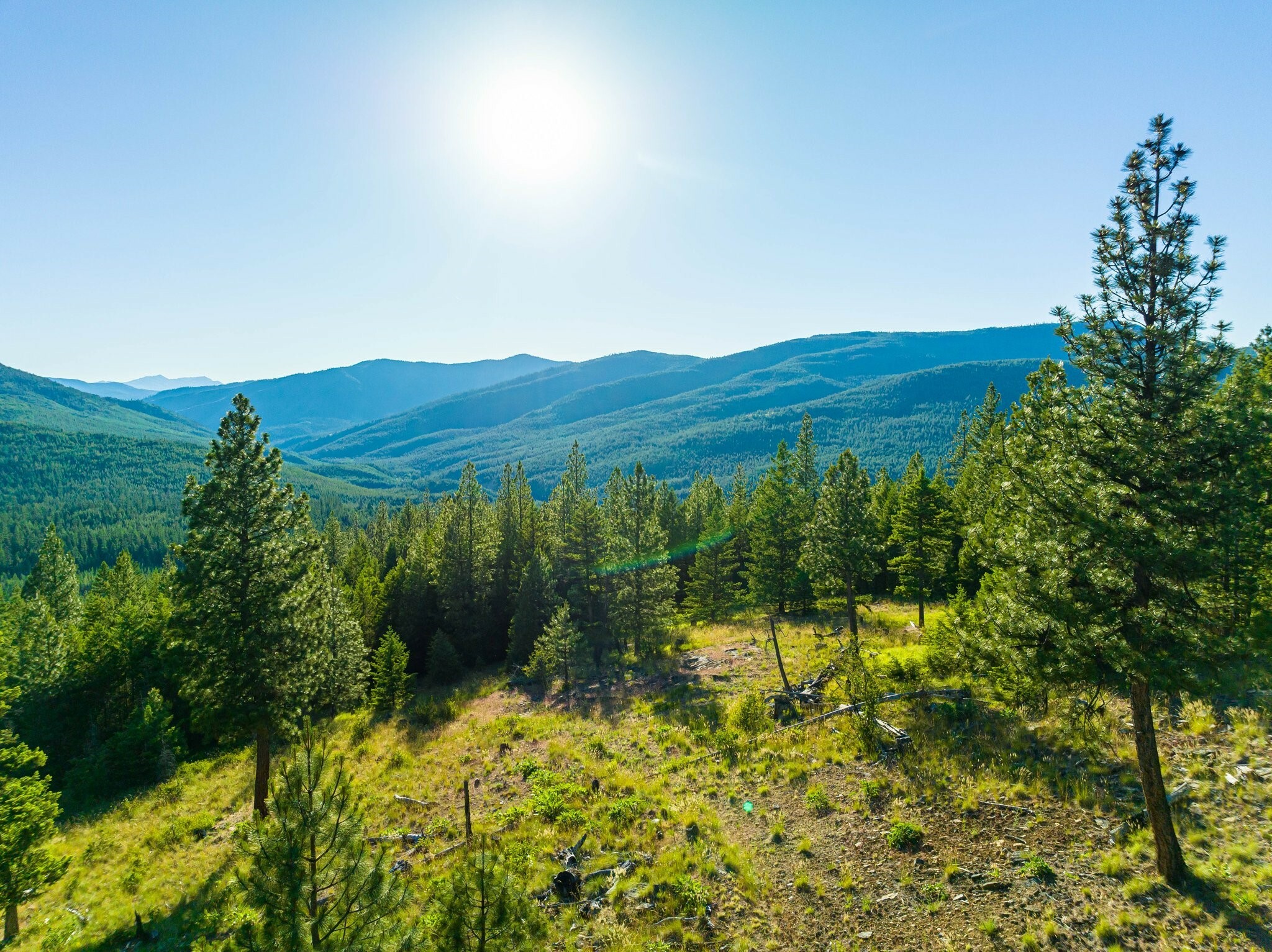 Property Photo:  467 Wolf Creek Road  MT 59923 