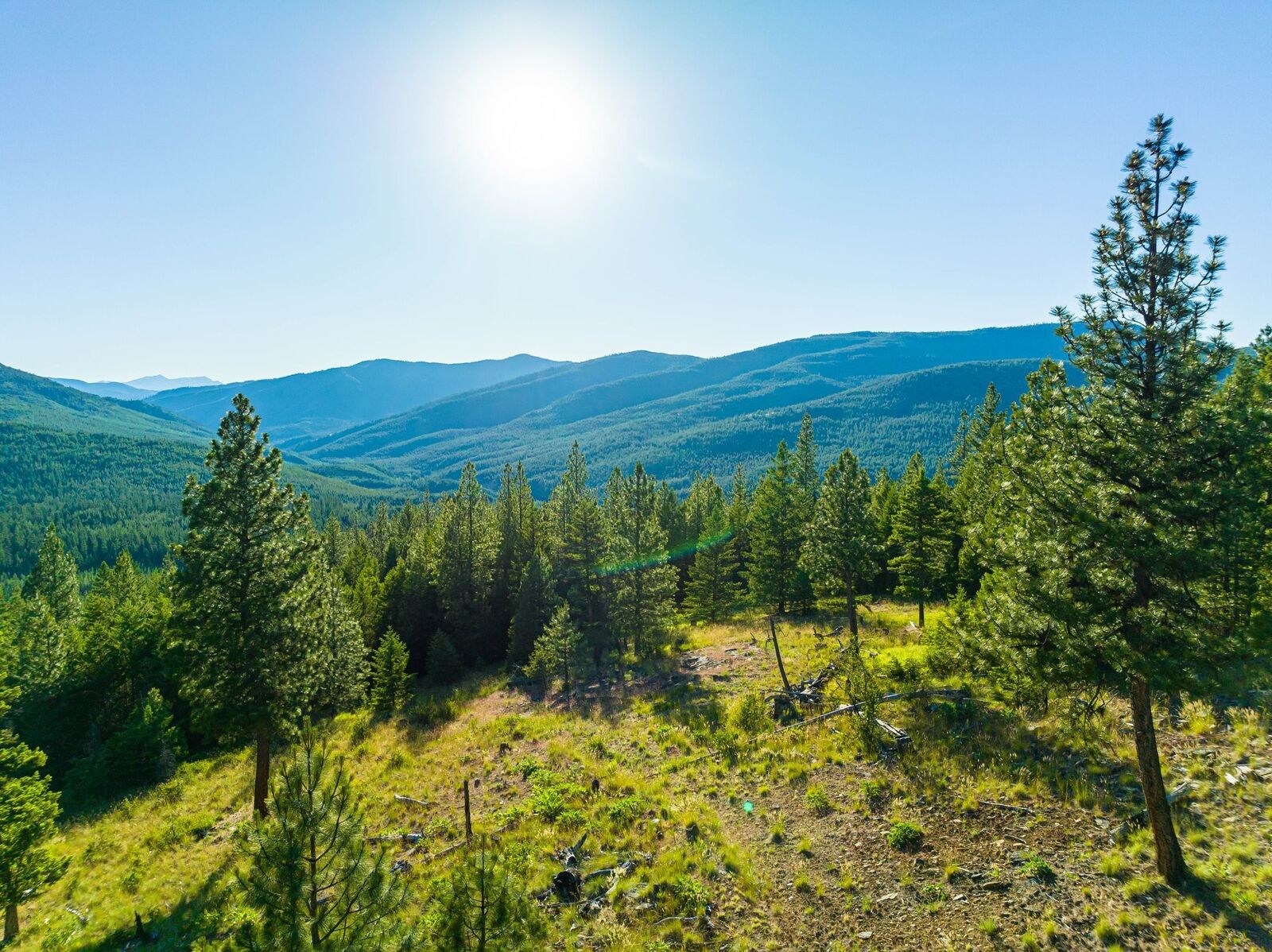 Property Photo: 467 Wolf Creek Road MT 59923