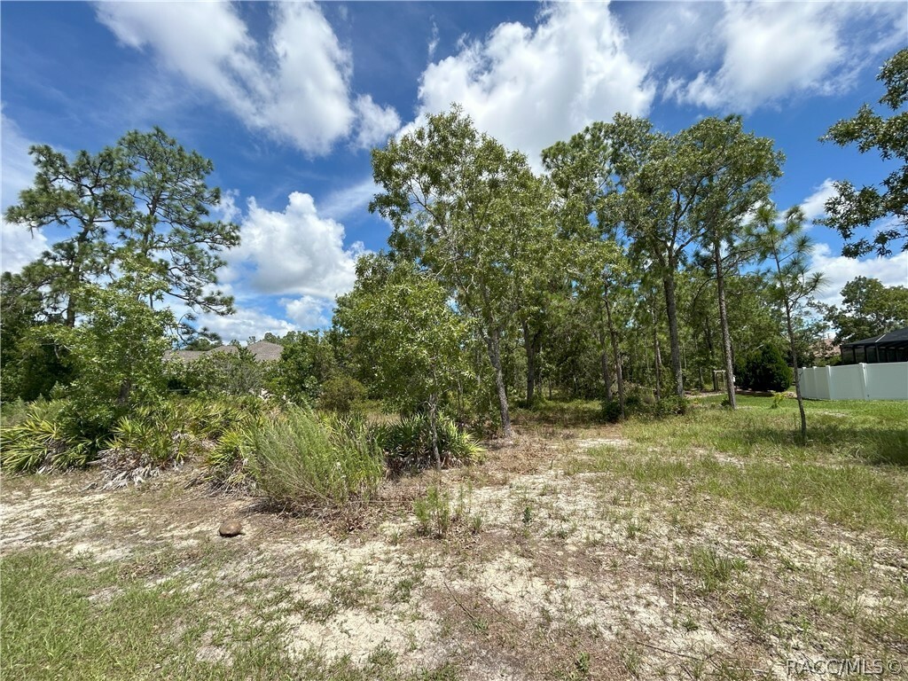 Property Photo:  5 Pawpaw Court N  FL 34446 