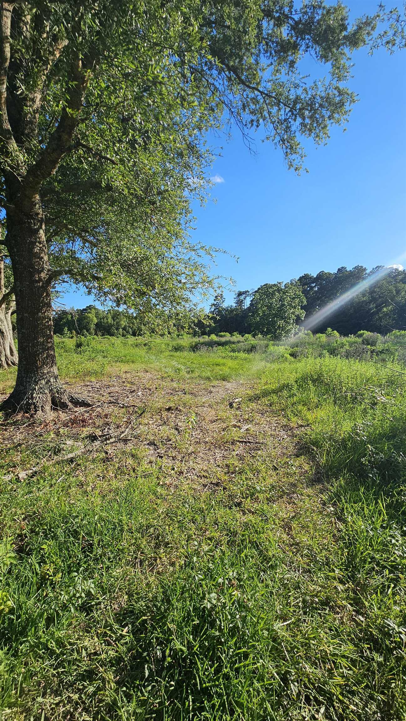 Property Photo:  1600 Connell Rd  TX 77662 