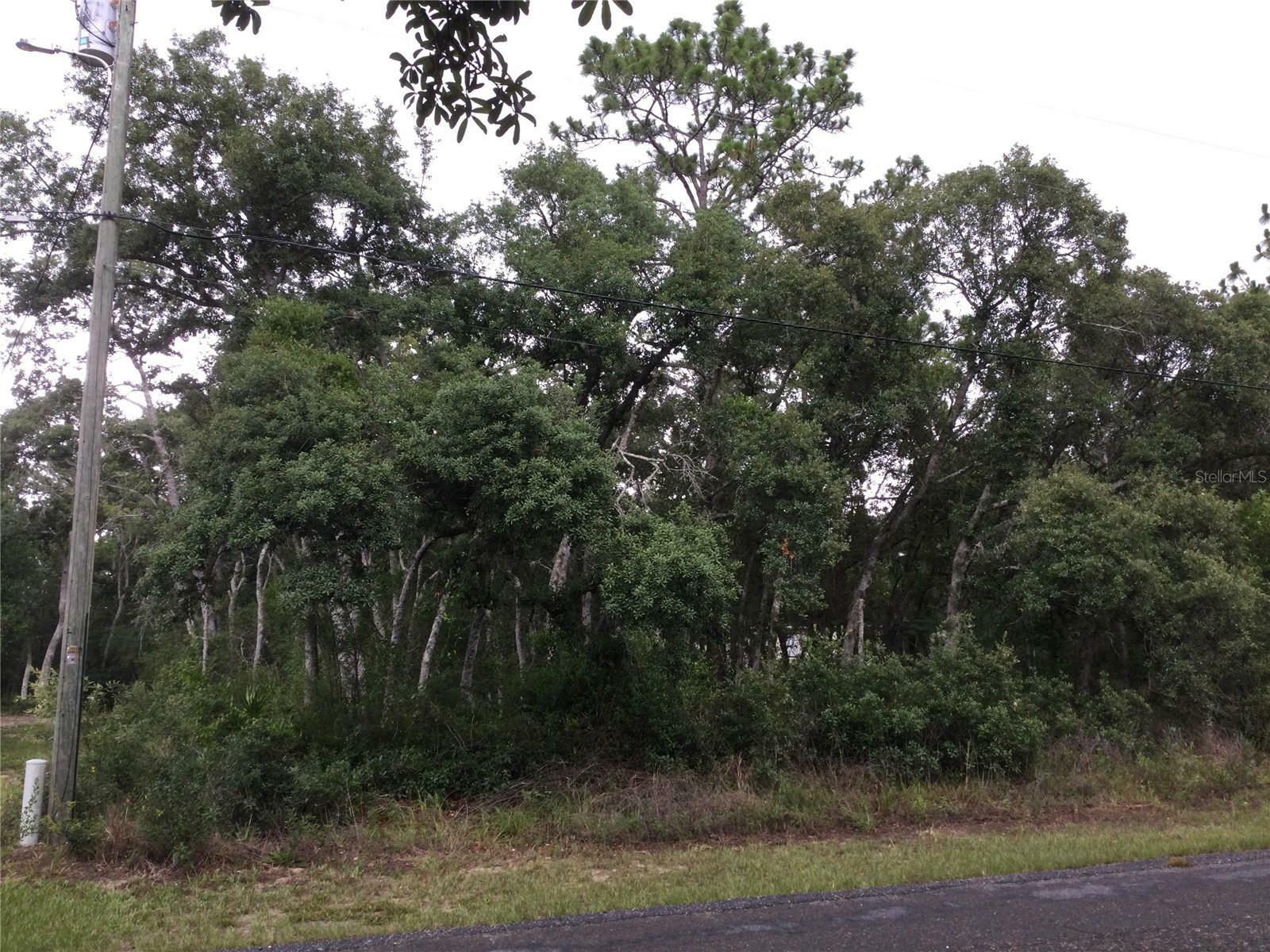 Property Photo:  7265 N Westbrook Way  FL 34433 