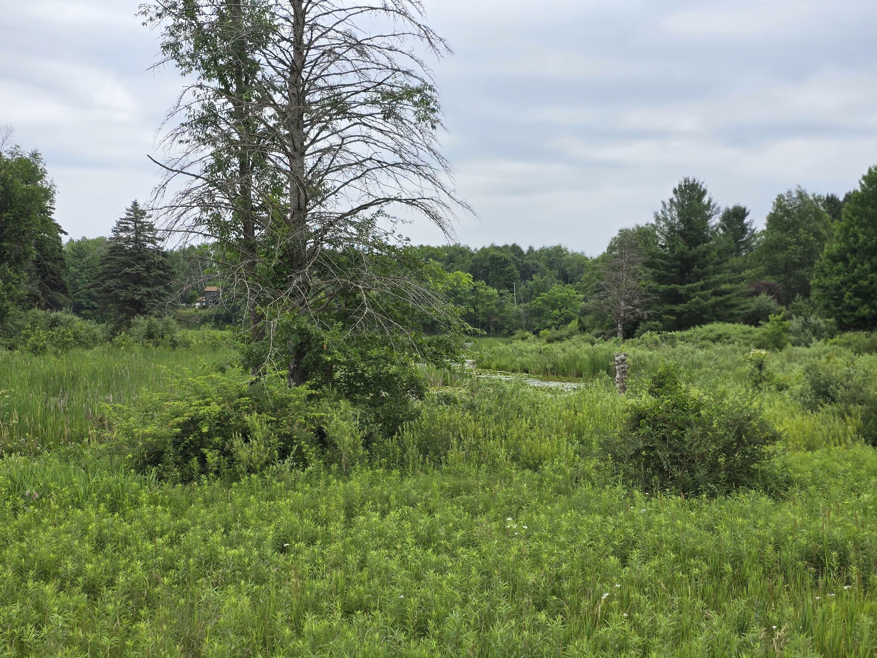 Property Photo:  6172 Lake Road  MI 49305 