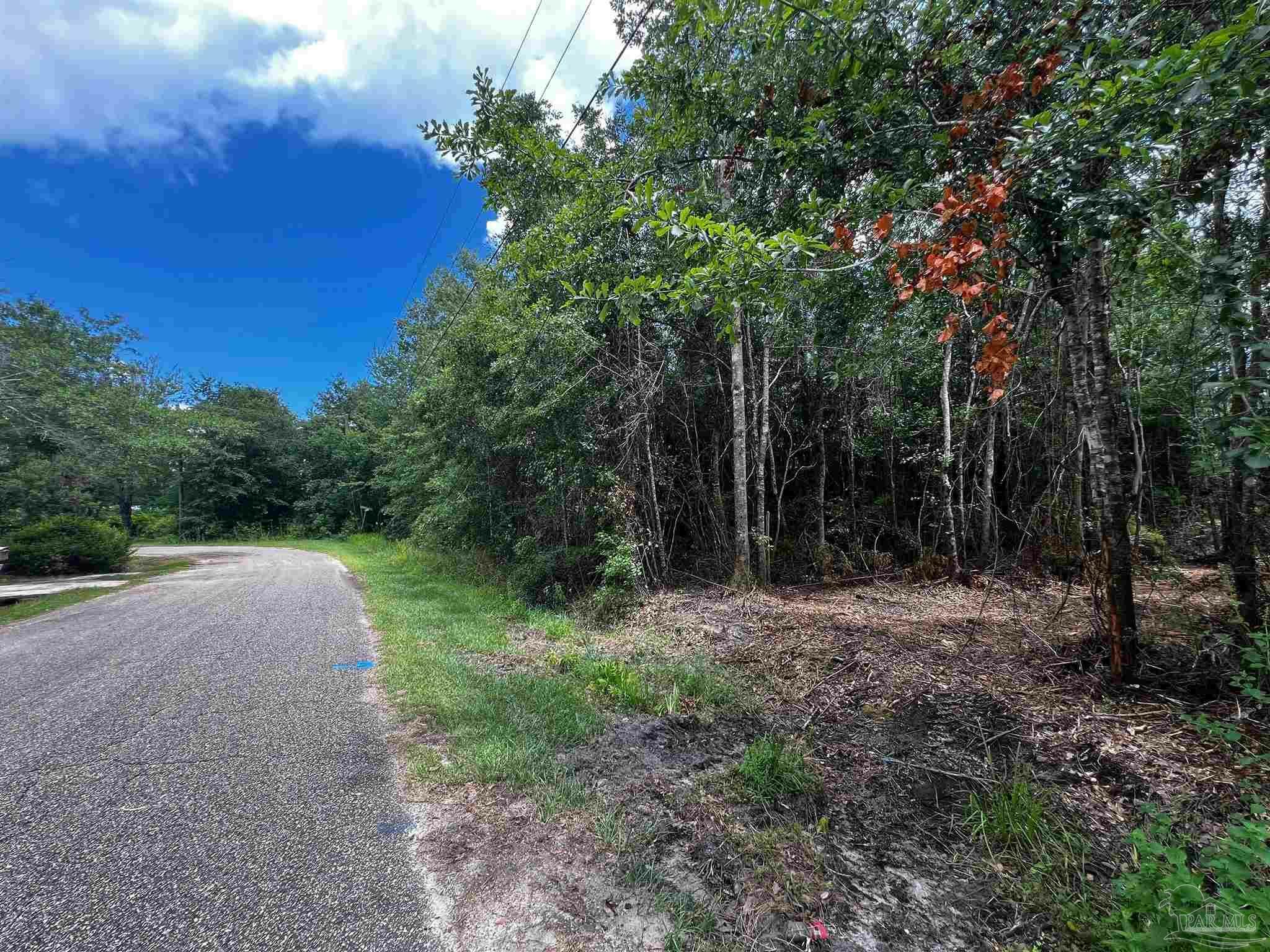 Property Photo:  000A Fieldcrest St  FL 32583 