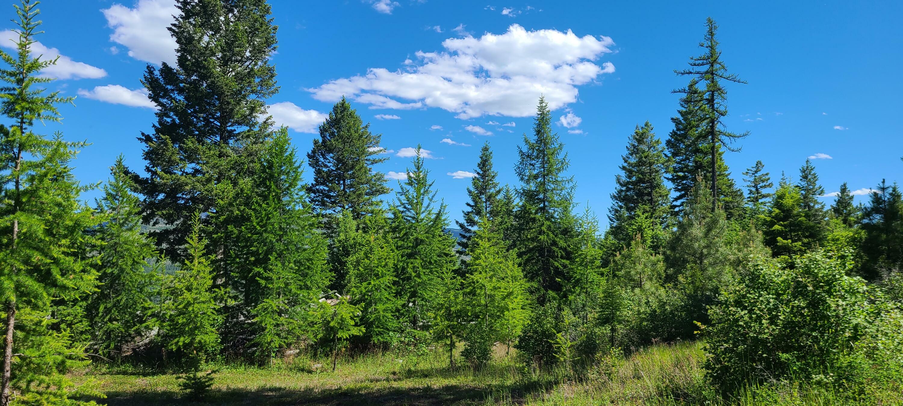 Property Photo:  Tbd Old Kettle Falls Rd  WA 99166 