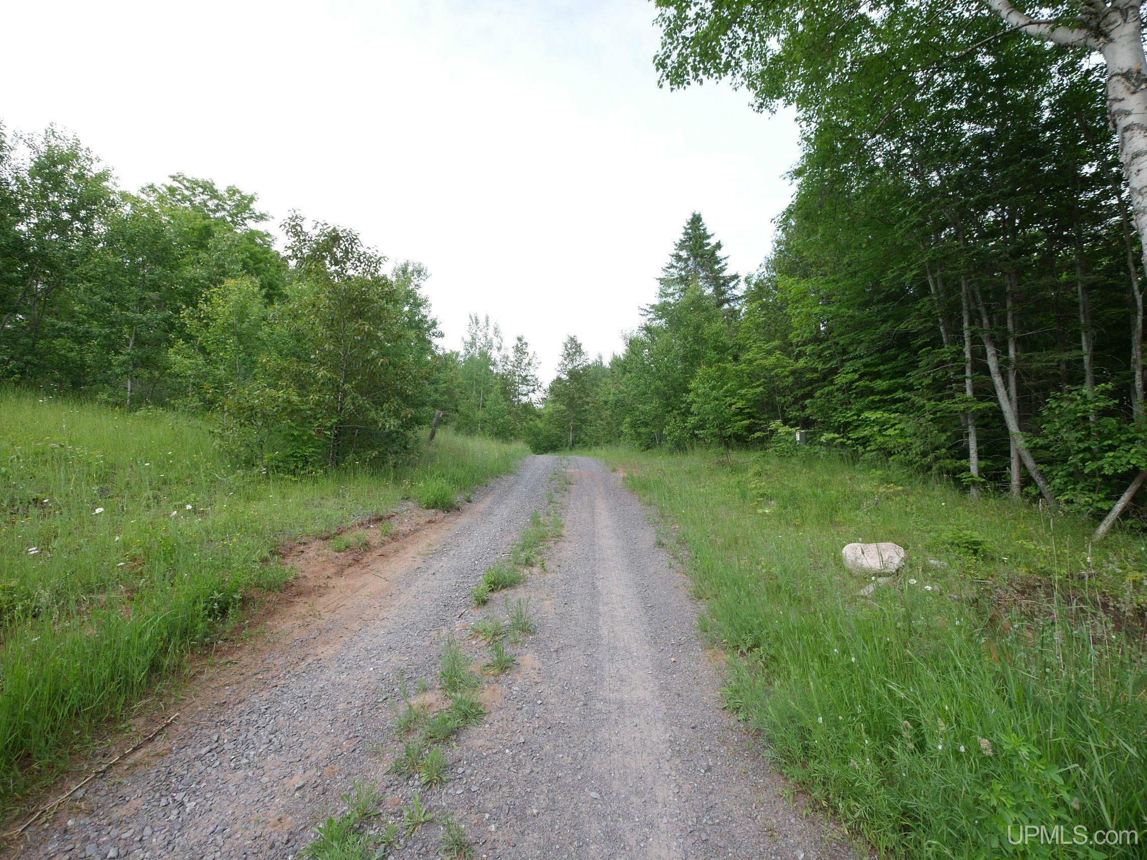 Property Photo:  Tbd Redridge Creek  MI 49905 