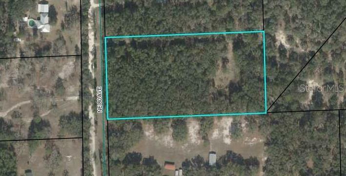 2350 NE 80th Avenue  High Springs FL 32643 photo