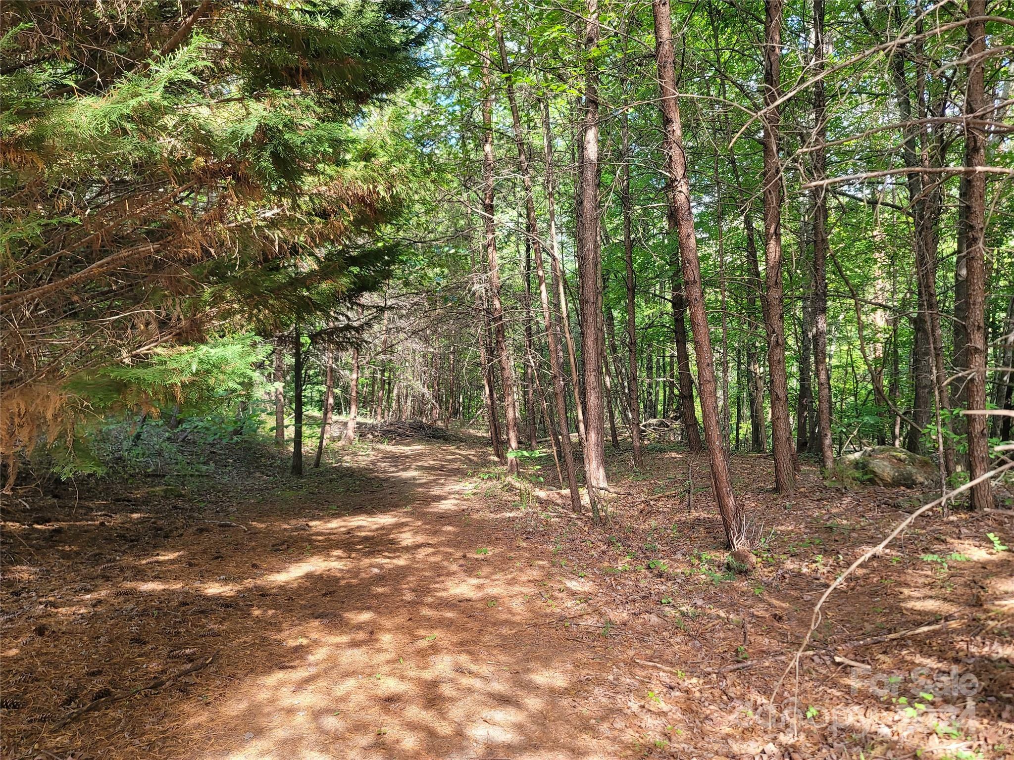 Property Photo:  0 McOwenben Pass 19-23  NC 28746 