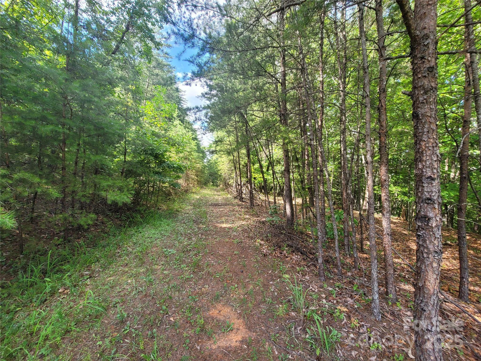 Property Photo: 0 McOwenben Pass 19,22,23 NC 28746