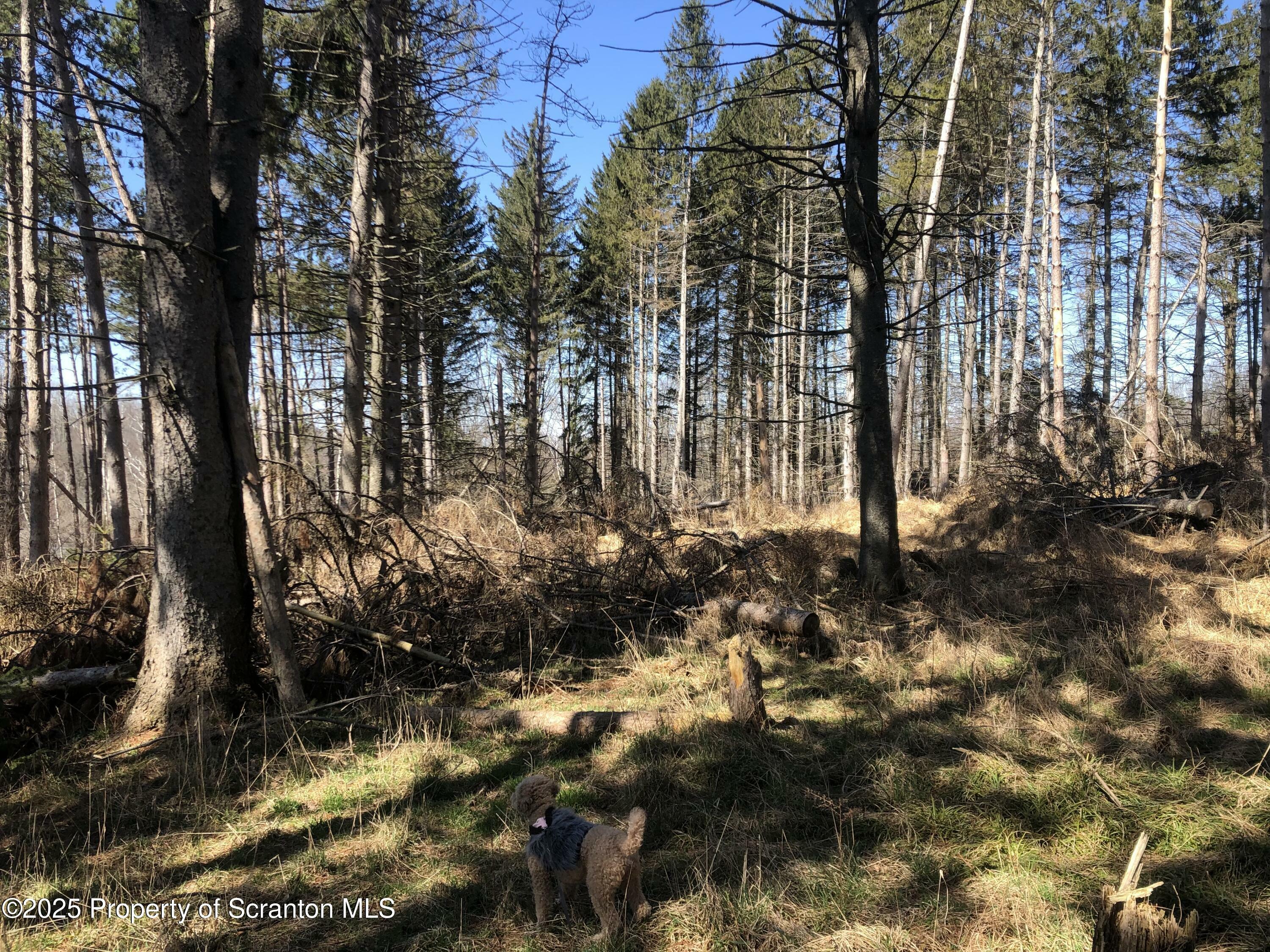 Property Photo: 634 Lily Lake Road, Lot 3 PA 18471