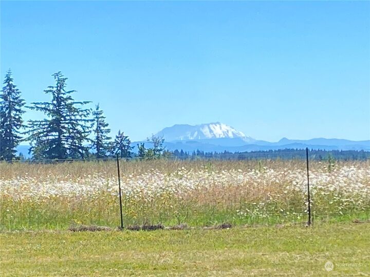 Property Photo: 172 Oppelt Road WA 98532