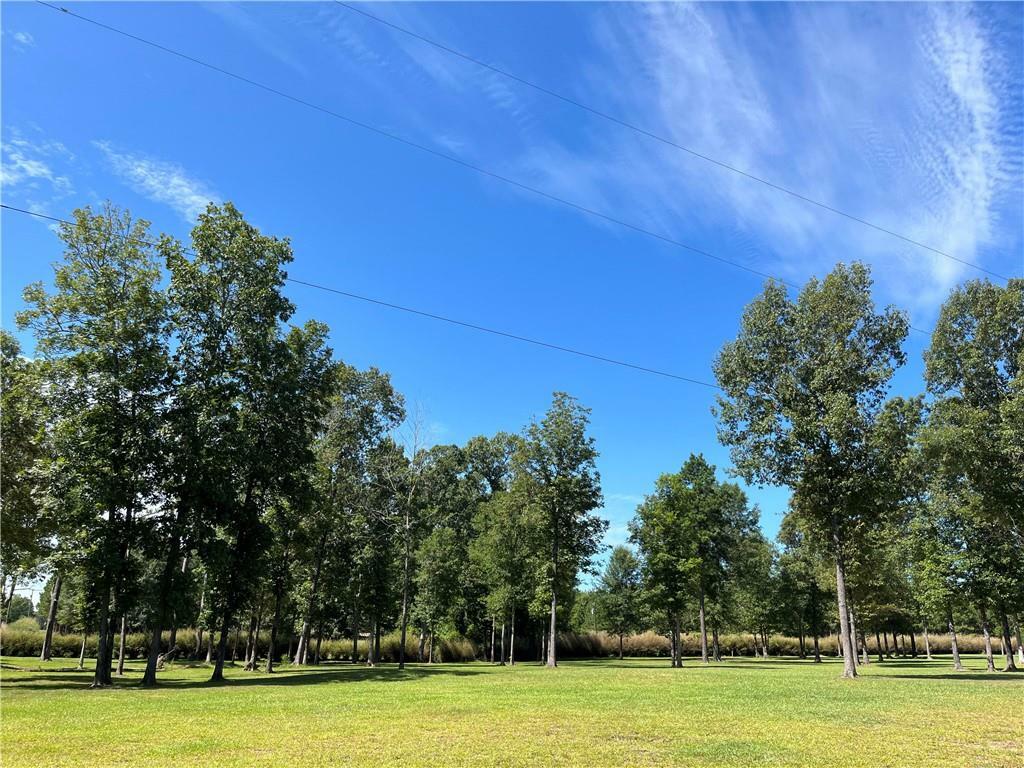 Property Photo:  709 (Lot 6) Sunrise Drive  LA 71328 