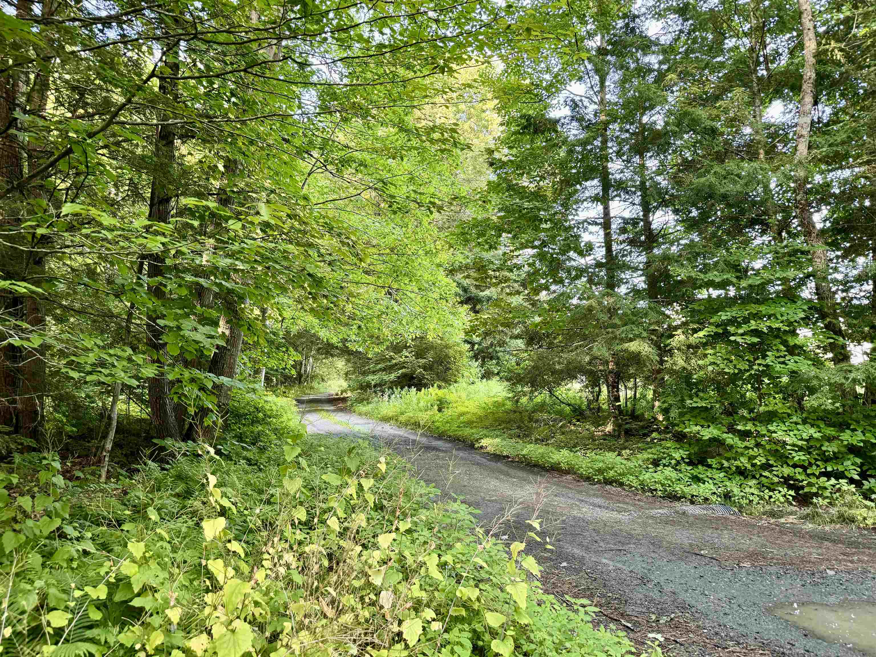 Property Photo:  486 Mountain Road  VT 05045 