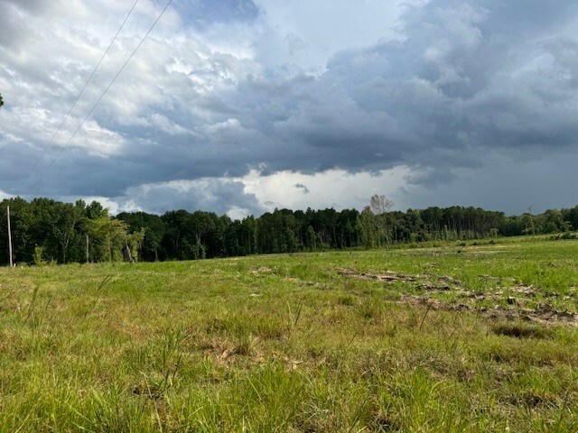 Property Photo:  +/- 5 Acres Kimbeth Lane  SC 29148 