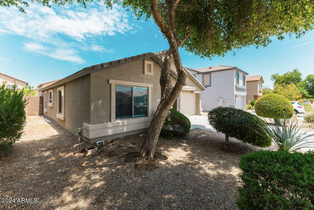 Property Photo:  732 W Cedar Tree Drive  AZ 85143 