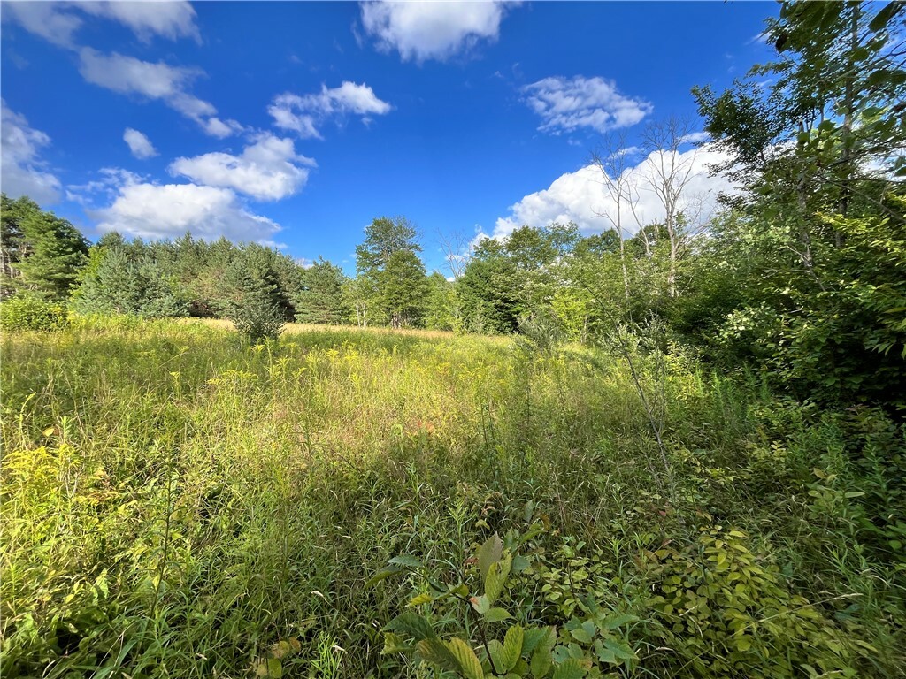 Property Photo:  Lot 7 Greenbush Road  NY 14838 