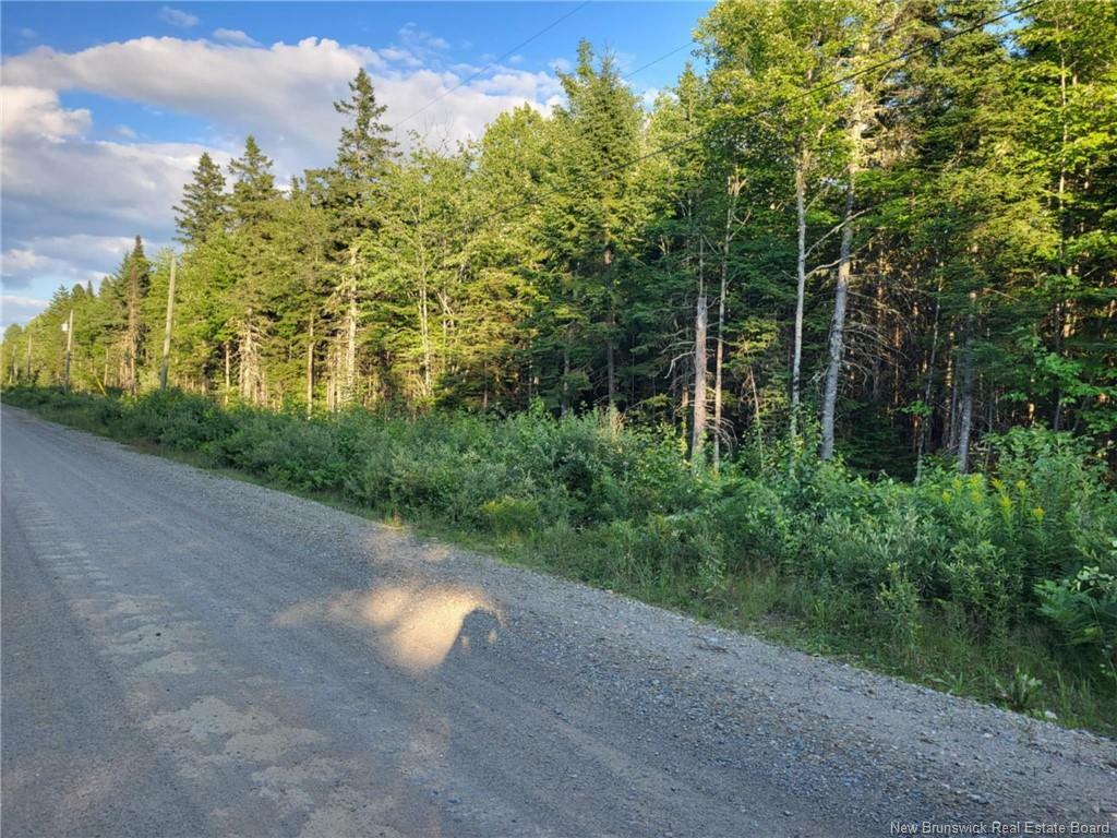 Property Photo:  Lot B Zionville Road  NB E6C 1Y5 