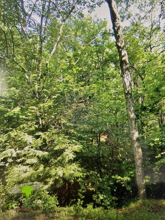 Property Photo:  349 Lot 1 SW Main St  MA 01516 