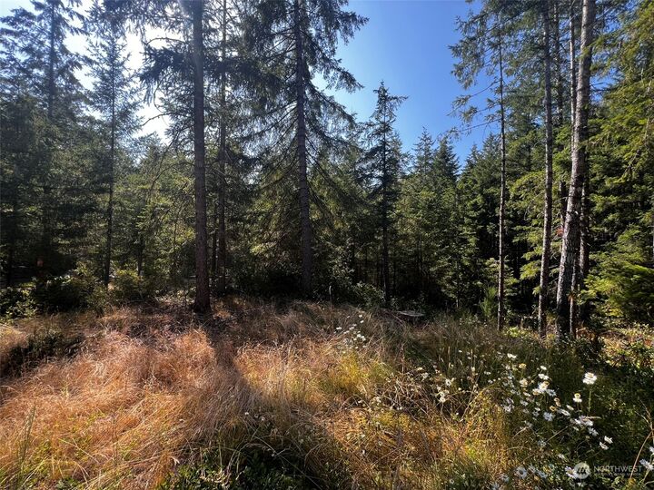 Property Photo:  1705 Lewis Road W  WA 98380 