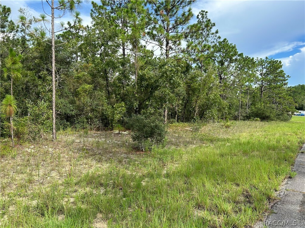 Property Photo:  9882 N Sistine Terrace  FL 34433 