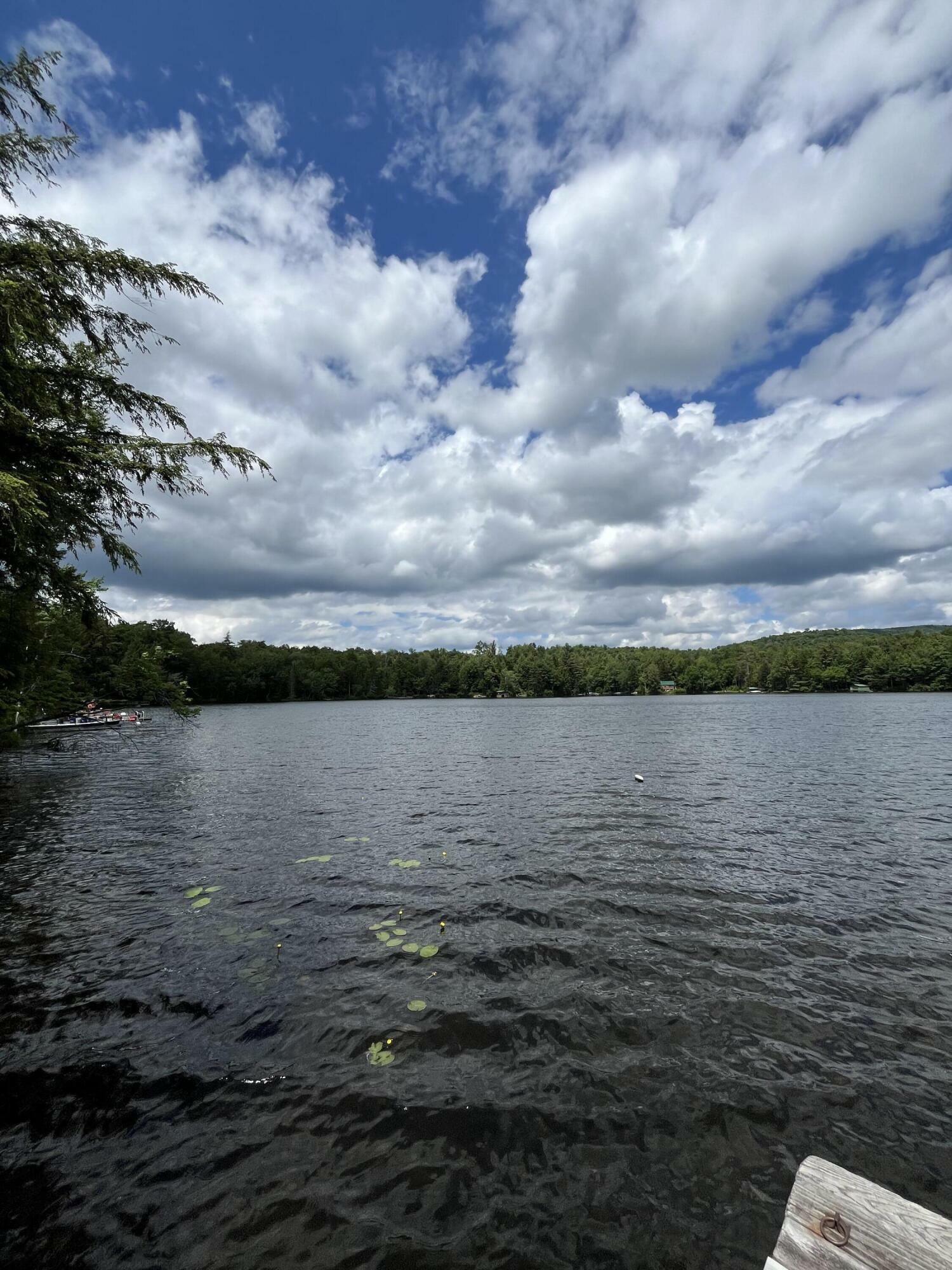 Property Photo:  38 Eagle Crag Lake  NY 12986 