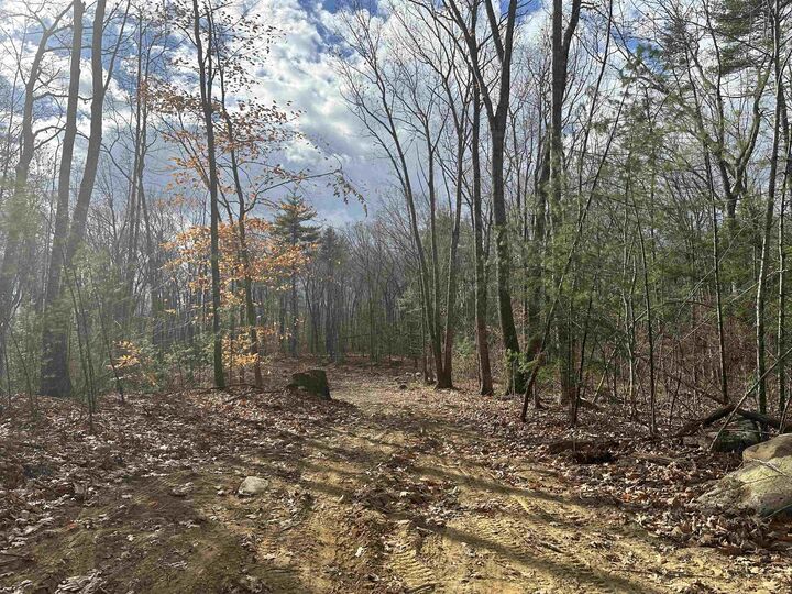 Property Photo: 185 Mahala Way NH 03825