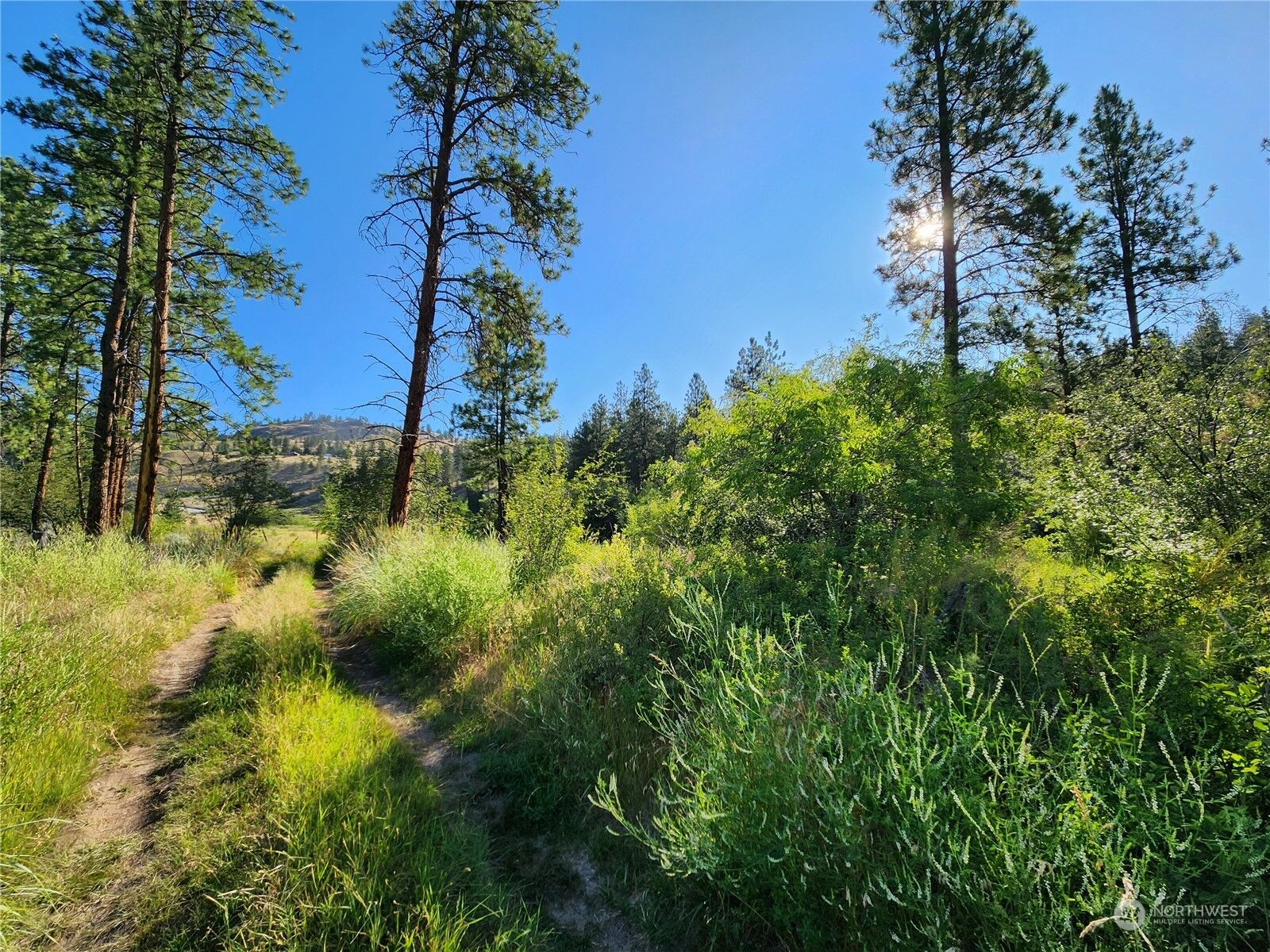 Property Photo:  422 Swanson Mill Road  WA 98844 
