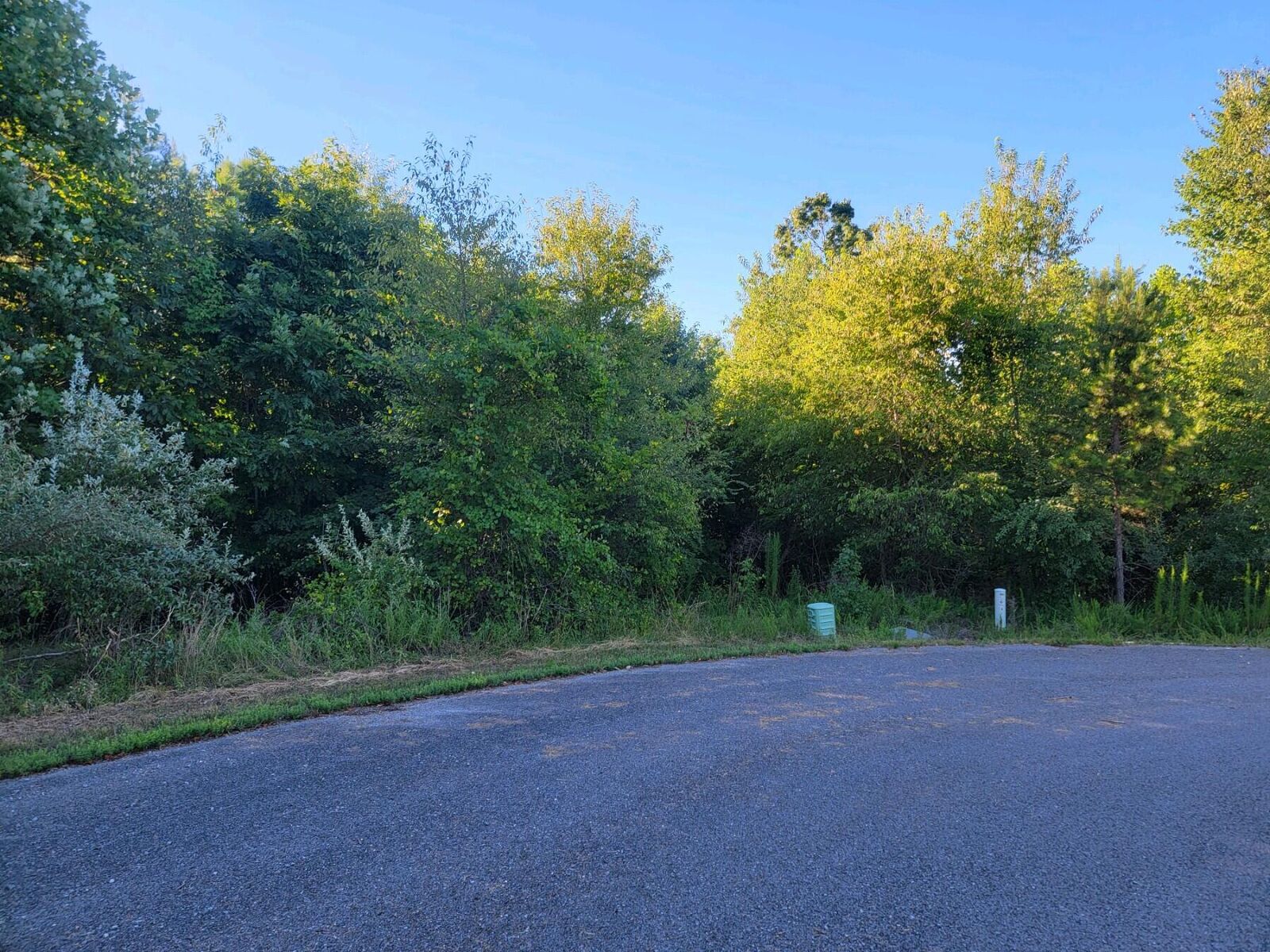 Property Photo:  00 Taylor Way 54  TN 37880 