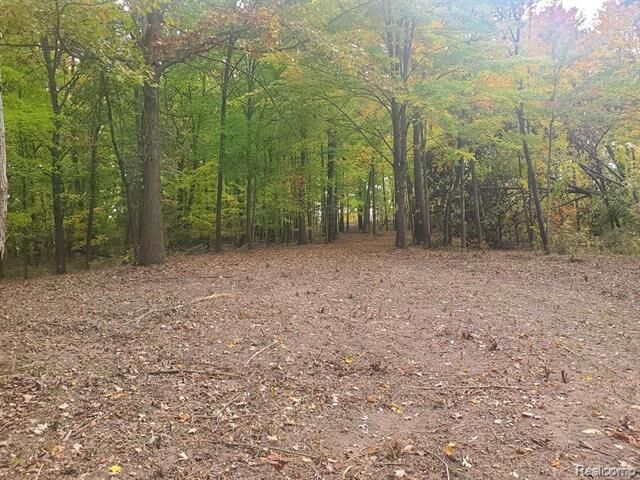 Property Photo:  6002 7 Mile  Road  MI 48167 