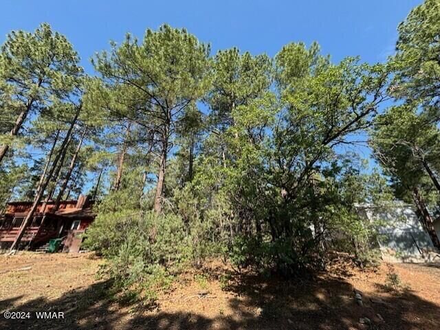 Property Photo:  4318 S Antelope Lane  AZ 85901 