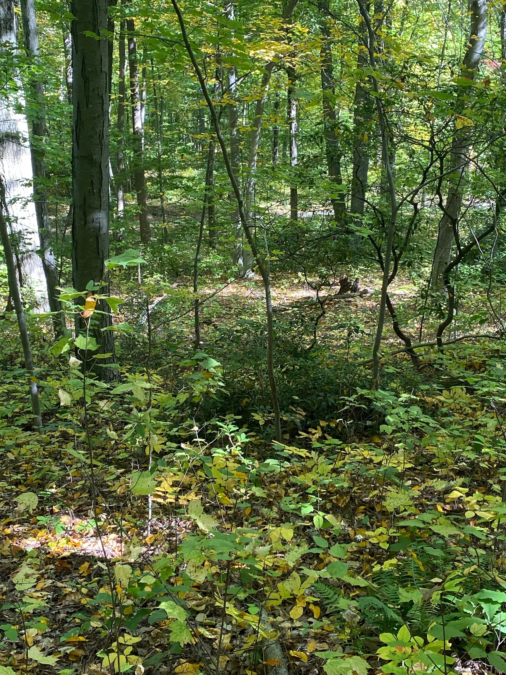 Property Photo:  Lot 5 Bethany Mountain Road  CT 06410 