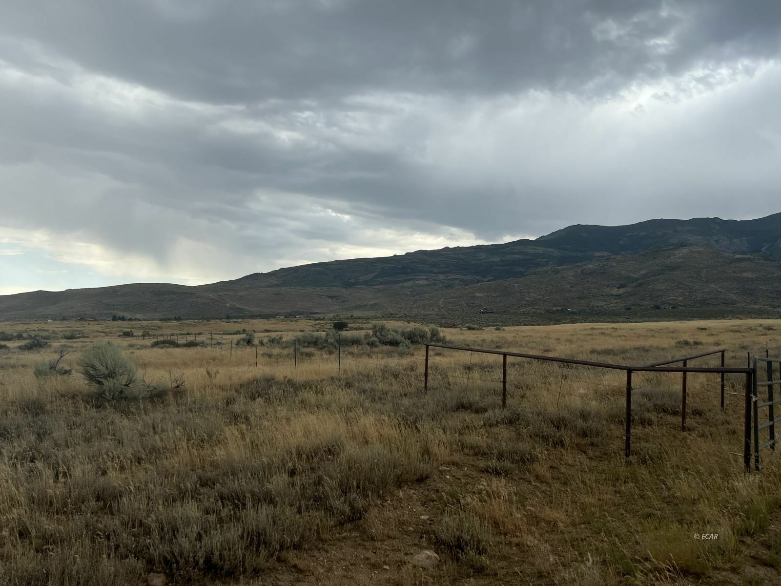 Property Photo:  Smith Creek Ranch  NV 89815 