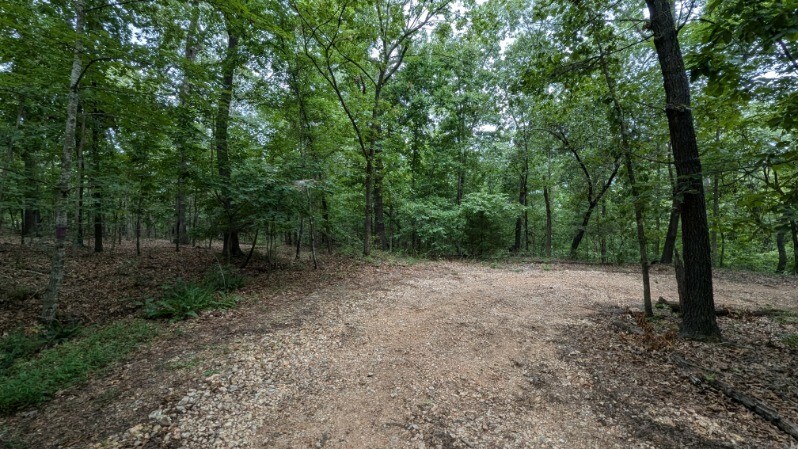 Property Photo:  Tbd Linfield Lane  AR 72715 