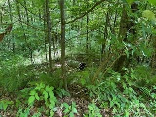 Property Photo: 00 Wolverine Court NC 28785