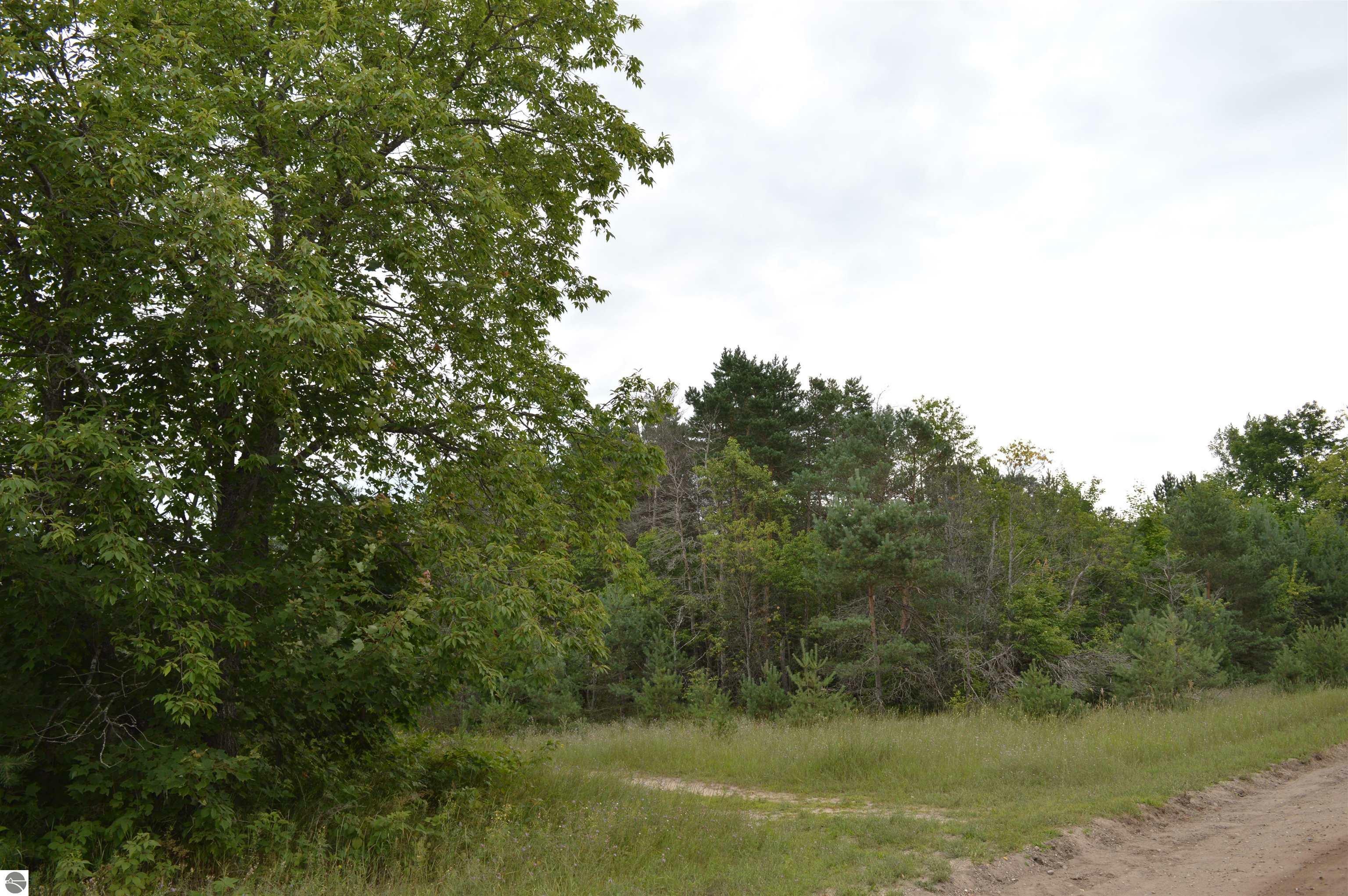 Property Photo:  00 County Line Road  MI 49659 