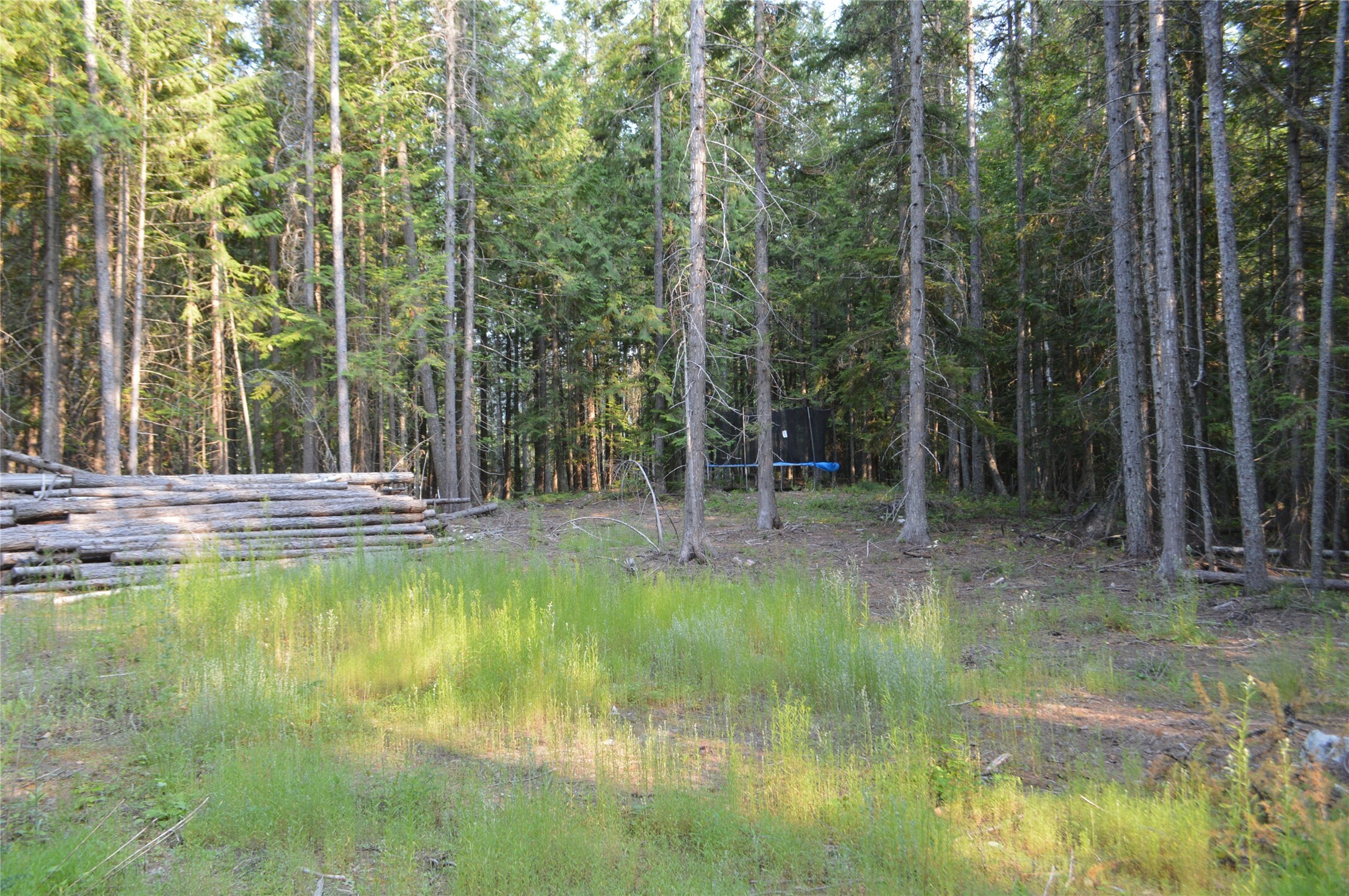 Property Photo:  2605 Parker Hill Road  MT 59912 